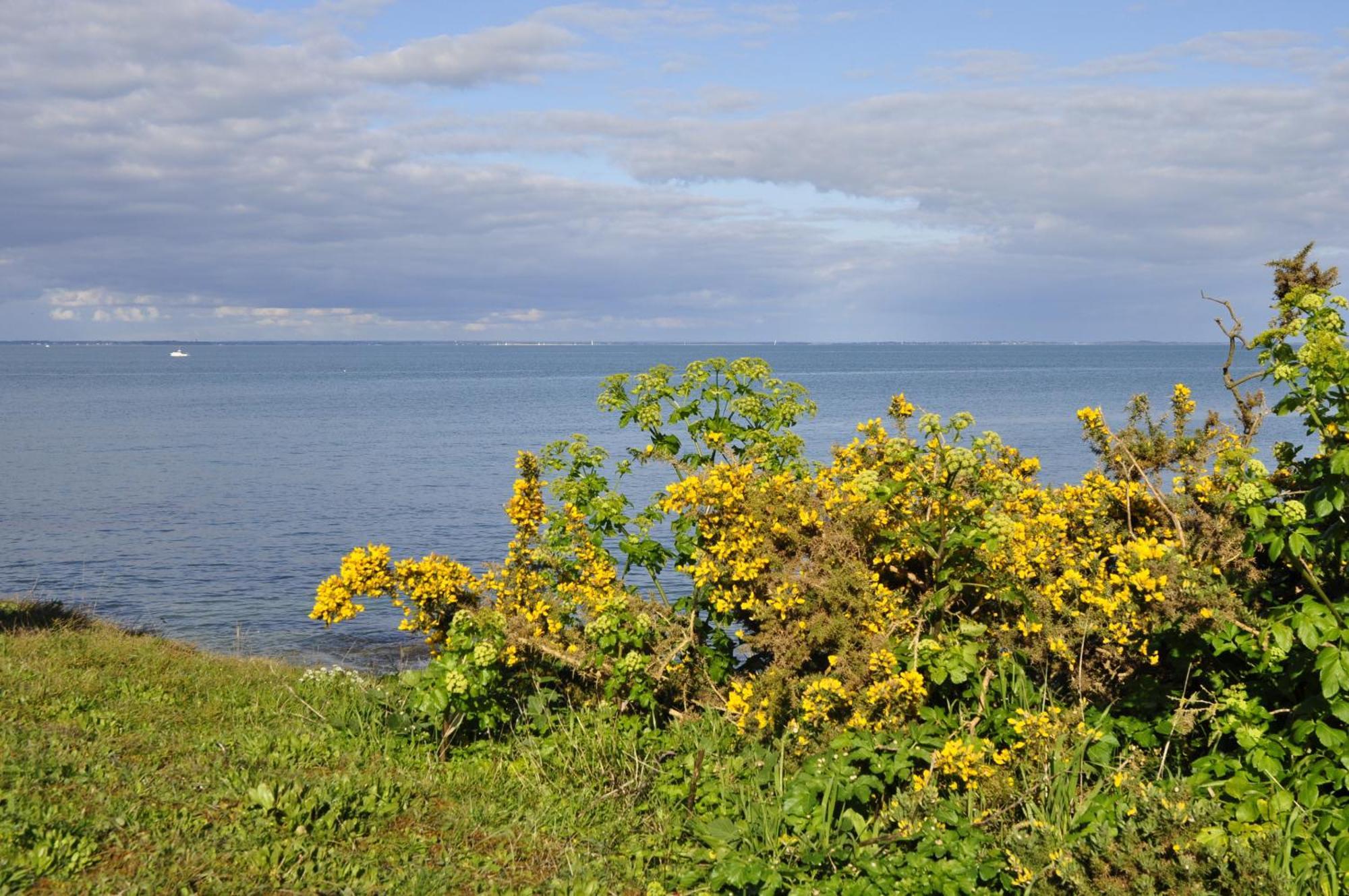 Panorama Vue Mer Quiberon Szoba fotó