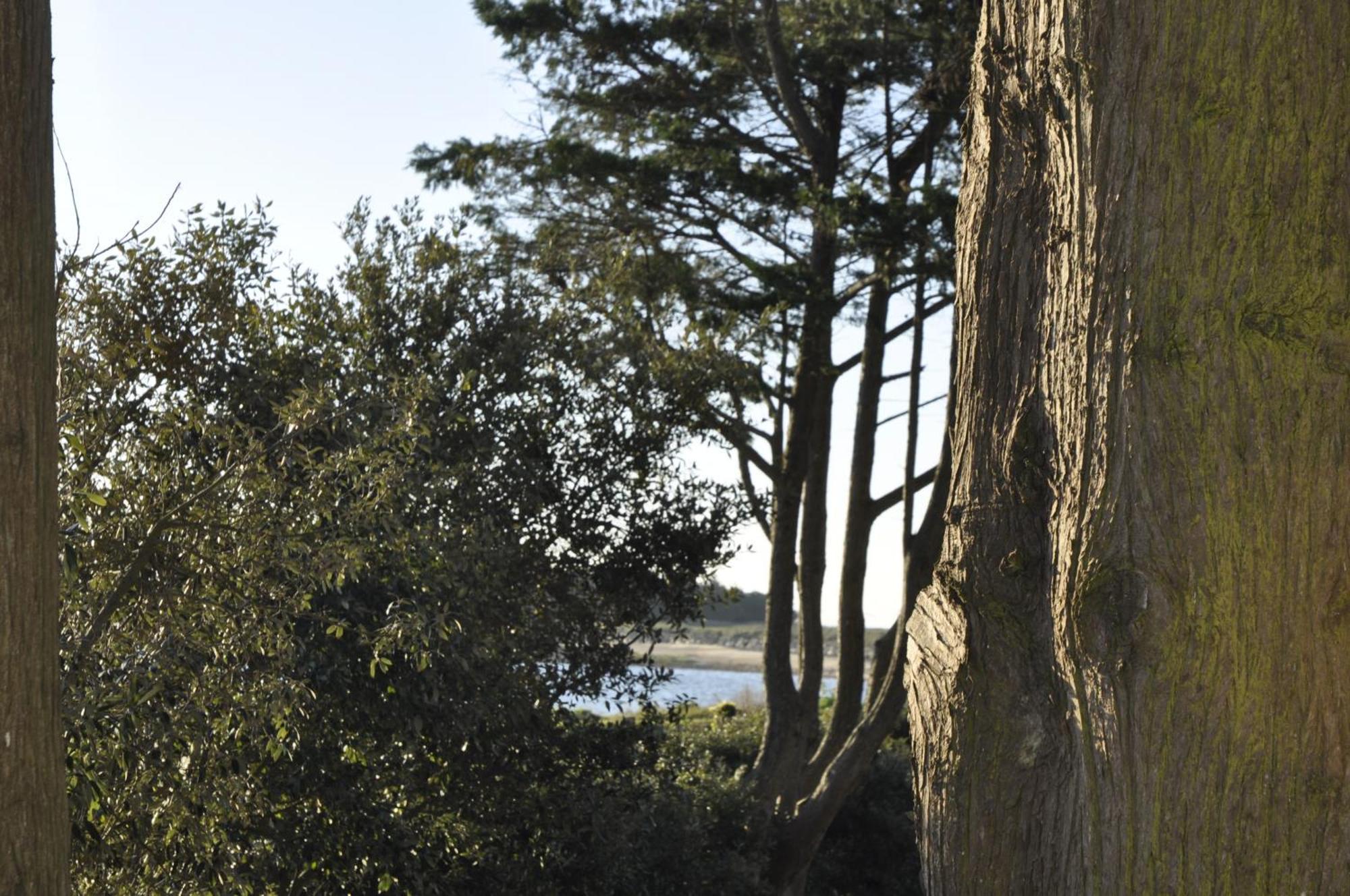 Panorama Vue Mer Quiberon Kültér fotó